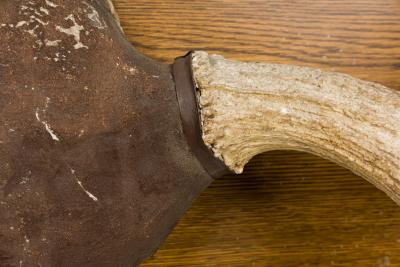 Rustic Moose Antler and Wood Wall Plaque