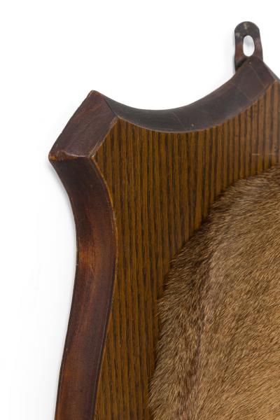 Rustic Mounted Deer Head Taxidermy