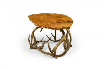 Rustic Petrified Wood and Deer Antler End Side Table