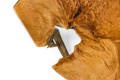Rustic Petrified Wood and Deer Antler End Side Table