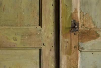 Rustic Primitive Green Cabinet France 19th Century
