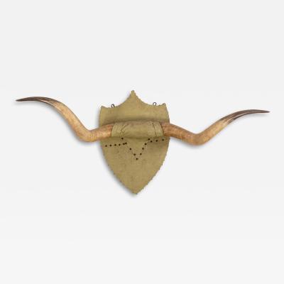 Rustic Steer Horn Mounted Taxidermy