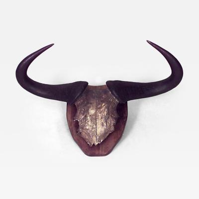 Rustic Taxidermy Mounted Horned Buffalo Skull