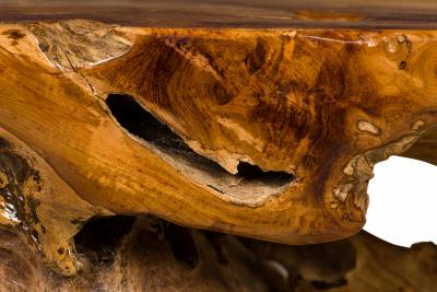 Rustic Tree Root Live Edge Lacquered Console Table