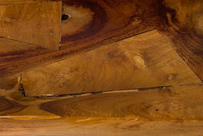 Rustic Tree Root Live Edge Lacquered Console Table
