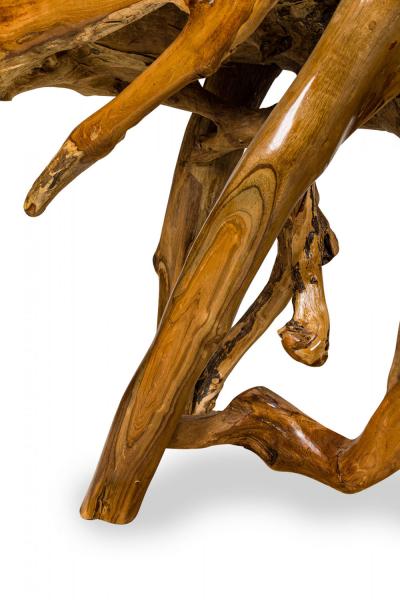 Rustic Tree Root Live Edge Lacquered Console Table