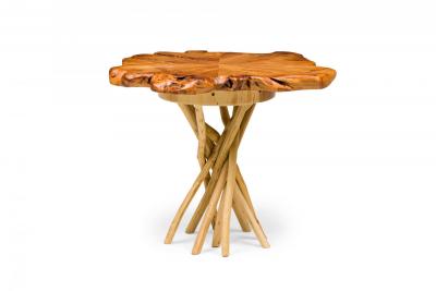 Rustic Wood Round Side Table with Organic Top and Branch Base