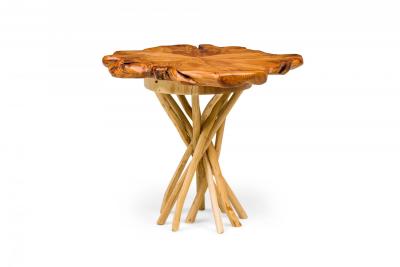 Rustic Wood Round Side Table with Organic Top and Branch Base