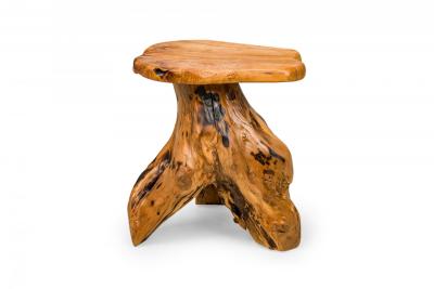 Rustic Wooden Tree Root Side Table with Organic Curved Top