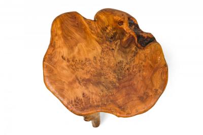 Rustic Wooden Tree Stump Burled Side Table with Organic Scalloped Shaped Top