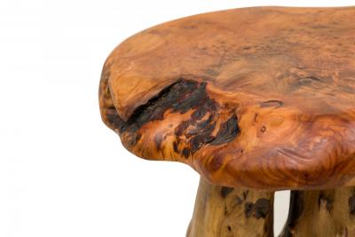 Rustic Wooden Tree Stump Burled Side Table with Organic Scalloped Shaped Top