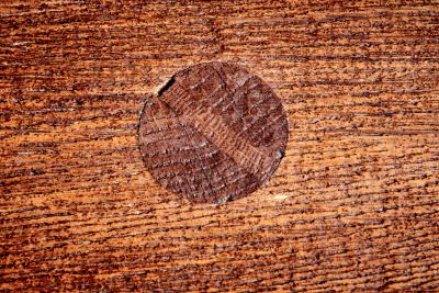 Rustic solid oak table with wrought iron details 