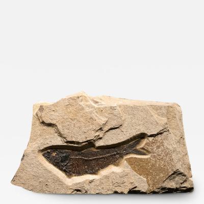 SCULPTURE 3506