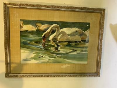 SIGNED MODERN SWANS WATERCOLOR