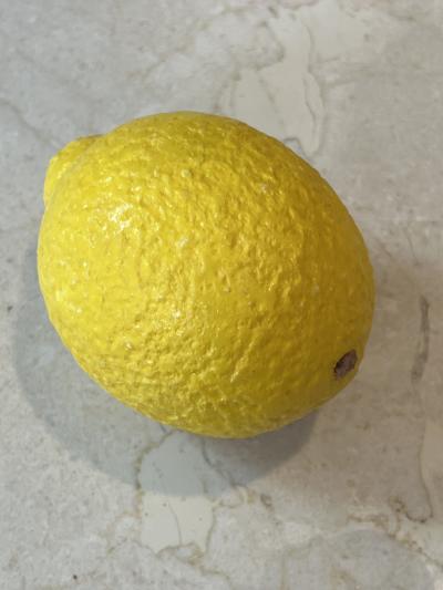 SUITE OF 15 ITALIAN DYED ALABASTER FRUIT