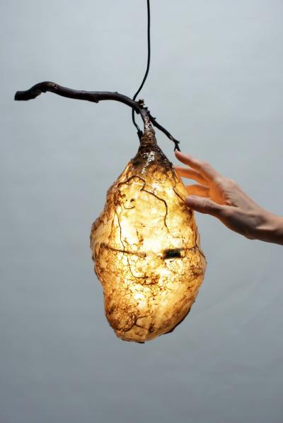 Sabrina Merayo Nu ez Hive Light Pendant