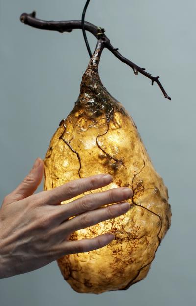 Sabrina Merayo Nu ez Hive Light Pendant