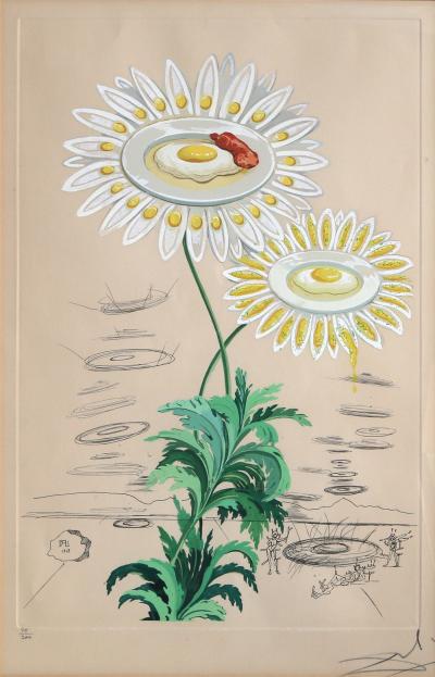 Salvador Dal Chrysanthemum Frutescens