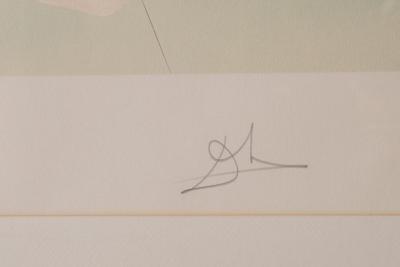 Salvador Dal Salvador Dal Signed Lithographs Retrospective Suite 1978 Complete Set of Four