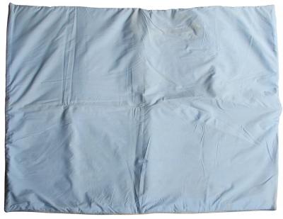 Salvador Dal Unicorn