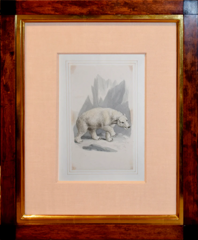 Samuel Howitt SAMUEL HOWITT BRITISH 1765 1822 POLAR BEAR