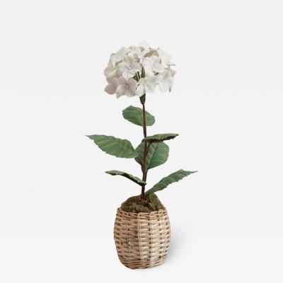 Samuel Mazy Samuel Mazy Biscuit Porcelain White Hydrangea Flower Sculpture