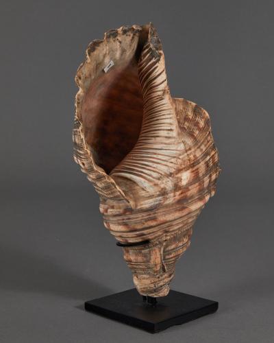 Samurai Horagai Conch Shell Trumpets