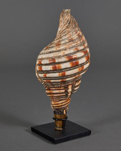 Samurai Horagai Conch Shell Trumpets
