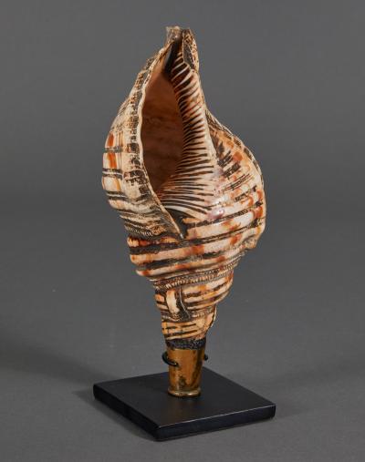 Samurai Horagai Conch Shell Trumpets