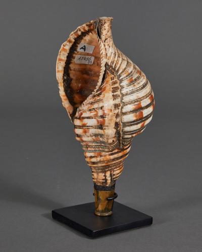 Samurai Horagai Conch Shell Trumpets