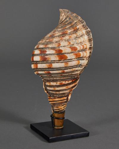 Samurai Horagai Conch Shell Trumpets