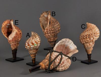 Samurai Horagai Conch Shell Trumpets