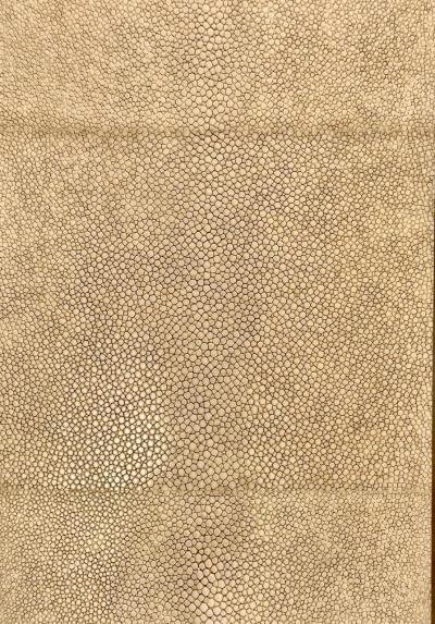 Sand Color Shagreen and Walnut Box