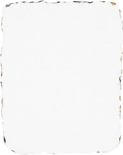 Sander Reijgers Untitled