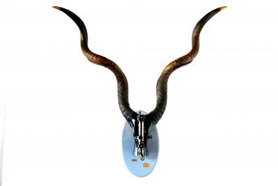 Sang Pil Bae Rudolph the 4th