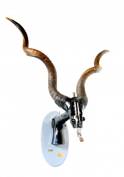 Sang Pil Bae Rudolph the 4th