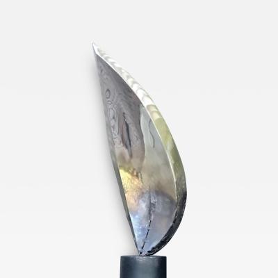 Santiago Medina FLAME OF GENESIS Santiago Medina