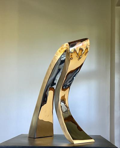 Santiago Medina NOVA