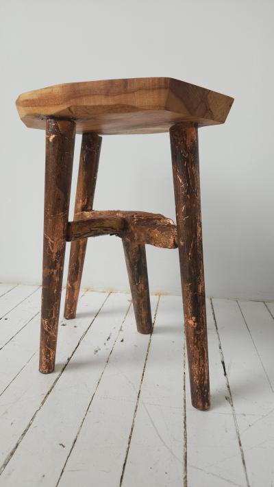 Sarah Lauren Holloway Sarah Holloway 300 Year Table