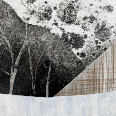 Sarah Winkler Frostline Through Cedars