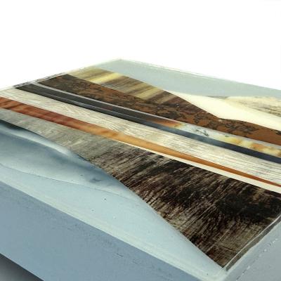 Sarah Winkler Whistler Study 4