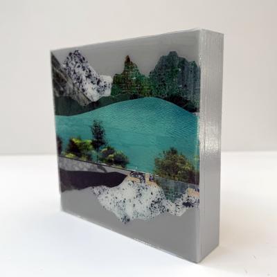 Sarah Winkler Whistler Study 9