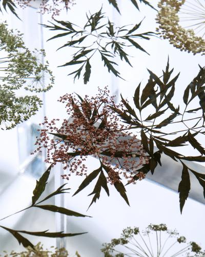 Sasha Sykes Angelica Table