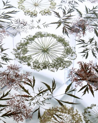 Sasha Sykes Angelica Table