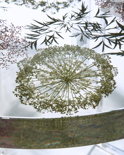 Sasha Sykes Angelica Table