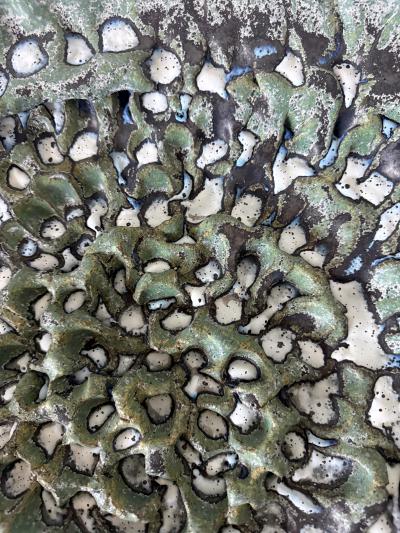 Satoru Hoshino Large Japanese Contemporary Stoneware Glazed Plate by Satoru Hoshino