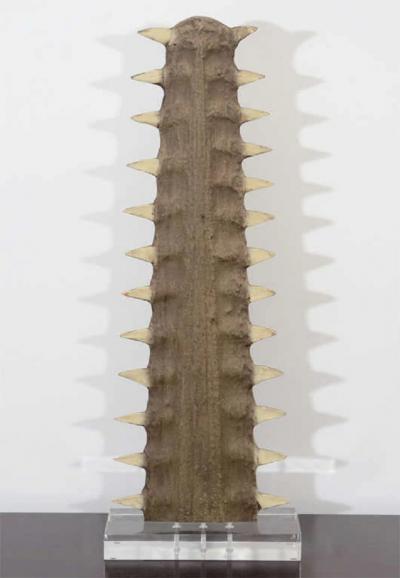 Sawtooth on Lucite display stand