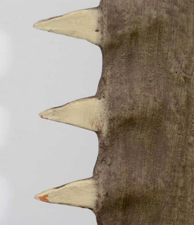 Sawtooth on Lucite display stand