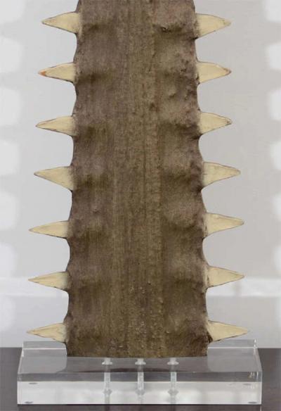 Sawtooth on Lucite display stand