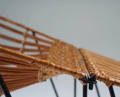 Scandinavian Cane and Metal Lounge Chair 1950s